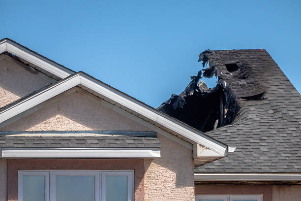 Top rated local Fire Damage Removal specialists in Anna Maria, FL